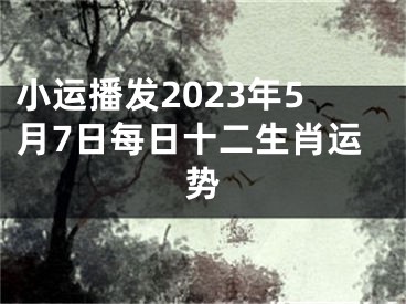 小运播发2023年5月7日每日十二生肖运势