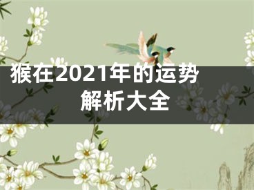 猴在2021年的运势解析大全