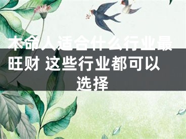 木命人适合什么行业最旺财 这些行业都可以选择