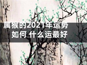 属猴的2021年运势如何 什么运最好