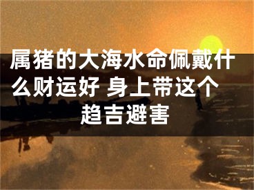 属猪的大海水命佩戴什么财运好 身上带这个趋吉避害