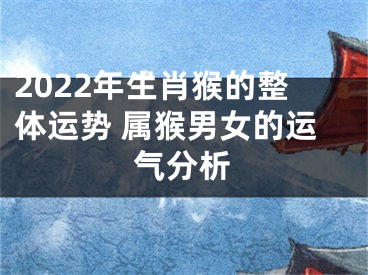 2022年生肖猴的整体运势 属猴男女的运气分析