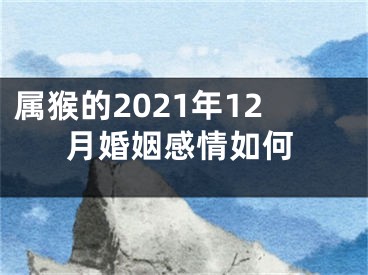 属猴的2021年12月婚姻感情如何