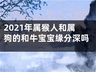 2021年属猴人和属狗的和牛宝宝缘分深吗