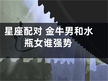 星座配对 金牛男和水瓶女谁强势 