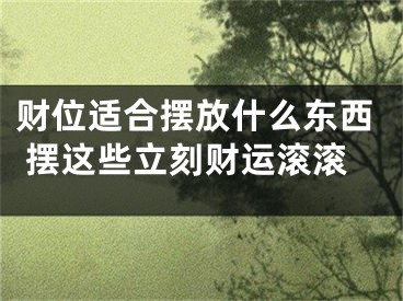 财位适合摆放什么东西 摆这些立刻财运滚滚