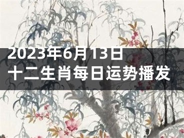 2023年6月13日十二生肖每日运势播发
