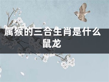属猴的三合生肖是什么 鼠龙