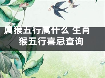 属猴五行属什么 生肖猴五行喜忌查询