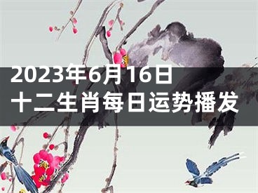 2023年6月16日十二生肖每日运势播发