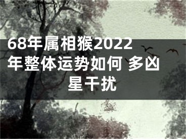 68年属相猴2022年整体运势如何 多凶星干扰