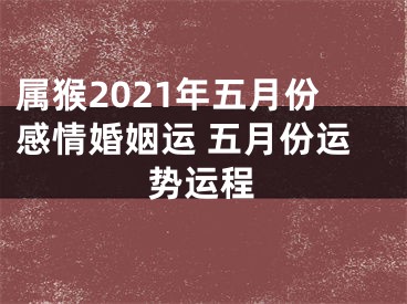 属猴2021年五月份感情婚姻运 五月份运势运程