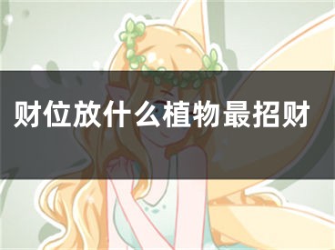 财位放什么植物最招财