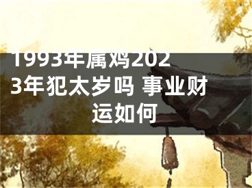 1993年属鸡2023年犯太岁吗 事业财运如何