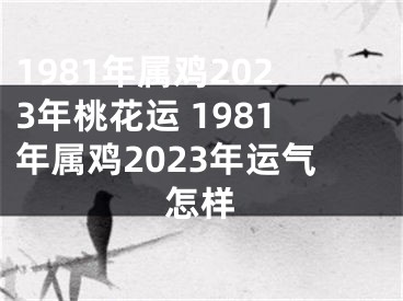1981年属鸡2023年桃花运 1981年属鸡2023年运气怎样
