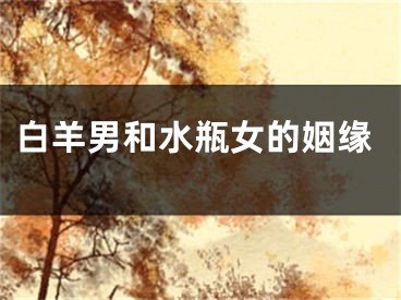 白羊男和水瓶女的姻缘