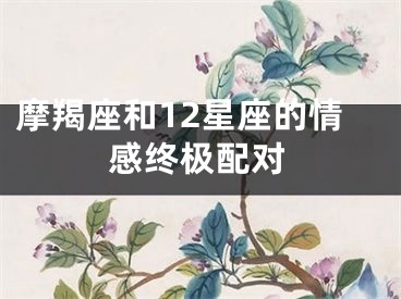 摩羯座和12星座的情感终极配对