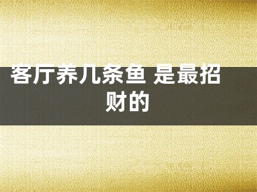 客厅养几条鱼 是最招财的