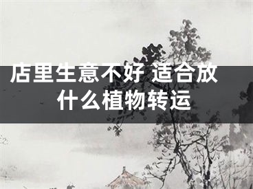 店里生意不好 适合放什么植物转运