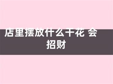 店里摆放什么干花 会招财
