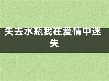 失去水瓶我在爱情中迷失