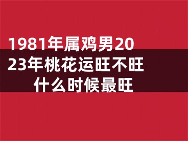 1981年属鸡男2023年桃花运旺不旺 什么时候最旺 