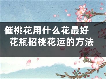 催桃花用什么花最好 花瓶招桃花运的方法