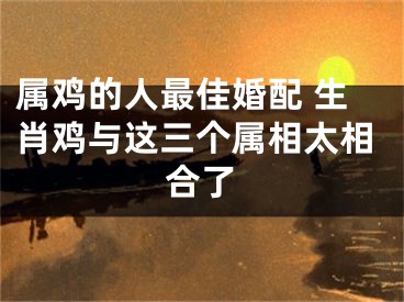 属鸡的人最佳婚配 生肖鸡与这三个属相太相合了