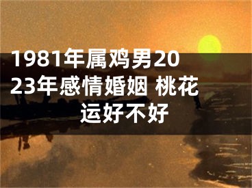 1981年属鸡男2023年感情婚姻 桃花运好不好