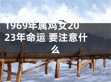 1969年属鸡女2023年命运 要注意什么