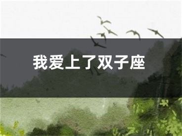 我爱上了双子座