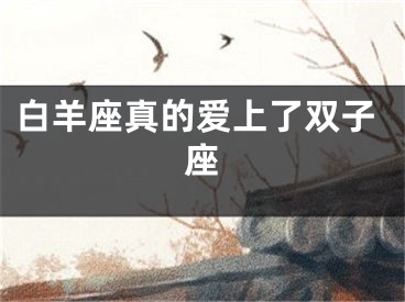 白羊座真的爱上了双子座