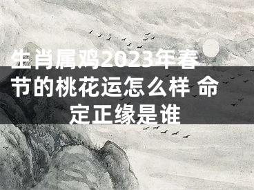 生肖属鸡2023年春节的桃花运怎么样 命定正缘是谁