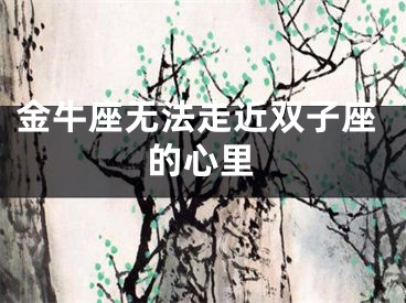 金牛座无法走近双子座的心里