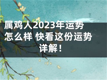 属鸡人2023年运势怎么样 快看这份运势详解！