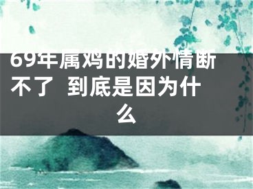 69年属鸡的婚外情断不了  到底是因为什么