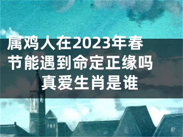 属鸡人在2023年春节能遇到命定正缘吗 真爱生肖是谁