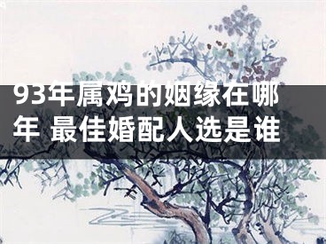 93年属鸡的姻缘在哪年 最佳婚配人选是谁
