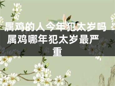 属鸡的人今年犯太岁吗 属鸡哪年犯太岁最严重