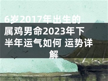 6岁2017年出生的属鸡男命2023年下半年运气如何 运势详解