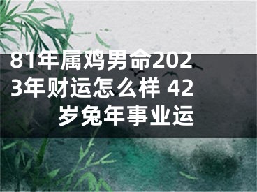 81年属鸡男命2023年财运怎么样 42岁兔年事业运
