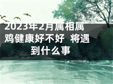2023年2月属相属鸡健康好不好  将遇到什么事 