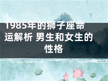 1985年的狮子座命运解析 男生和女生的性格