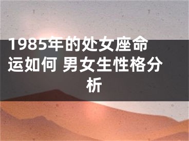 1985年的处女座命运如何 男女生性格分析