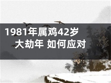 1981年属鸡42岁大劫年 如何应对