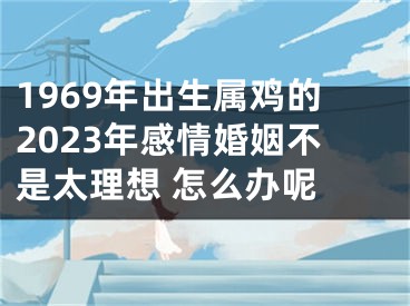 1969年出生属鸡的2023年感情婚姻不是太理想 怎么办呢 