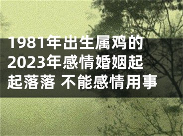 1981年出生属鸡的2023年感情婚姻起起落落 不能感情用事