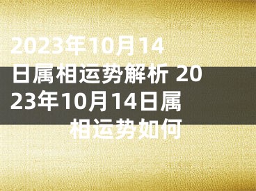 2023年10月14日属相运势解析 2023年10月14日属相运势如何