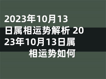 2023年10月13日属相运势解析 2023年10月13日属相运势如何