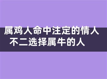 属鸡人命中注定的情人  不二选择属牛的人